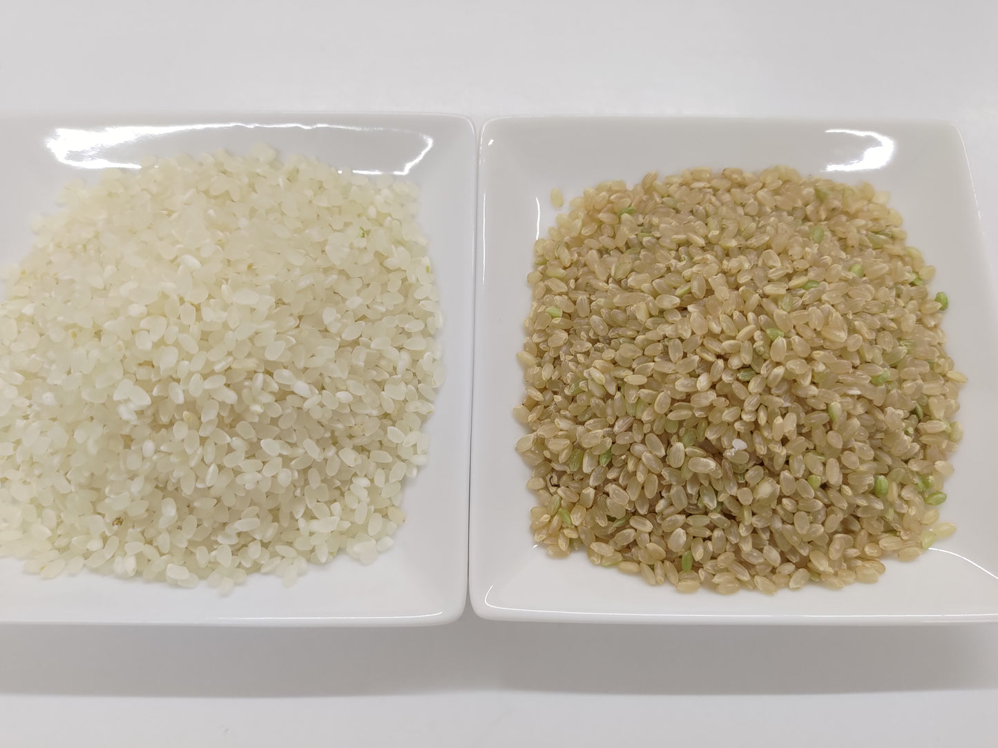 【お米(玄米)】広島県産こしひかり玄米5kg ※送料:10kgごとに1個口あたり1100円(北海道+300円・沖縄離島+500円)