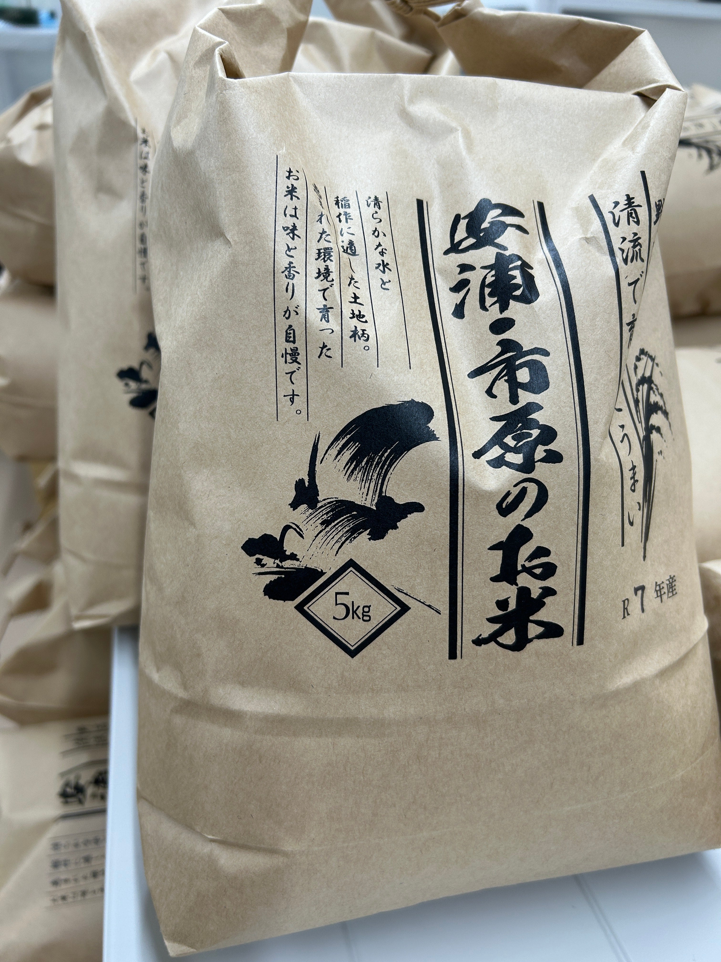 送料込　えいちのみず・ワカガエル 商品 – デトックス革命！ 慧一之水（エイチの水）