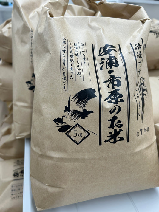 【お米(玄米)】広島県産こしひかり玄米10kg(5kgx2袋) ※送料：10kgごとに1個口あたり1100円(北海道+300円・沖縄離島+500円)
