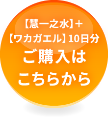 【慧一之水】＋【ワカガエル】10日分お試しセットのご購入はこちらから
