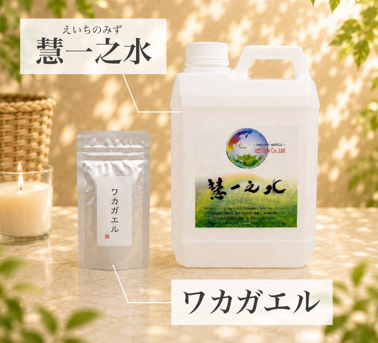 慧一之水（えいちのみず）とワカガエル